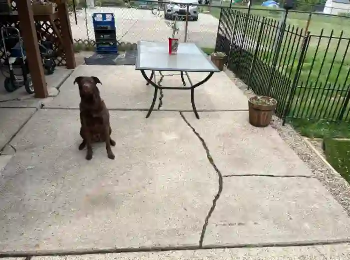 Cracks in the Concrete patios