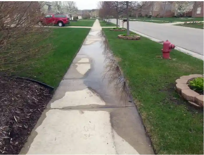 Water Pooling or Poor Drainage